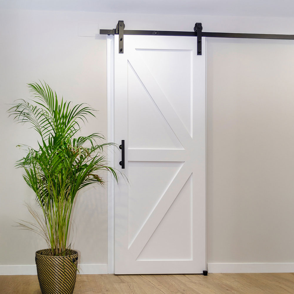 White barn door with two diagonal braces on black hardware beside a green plant